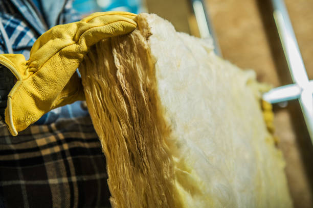 Best Insulation Removal  in Berwyn, PA