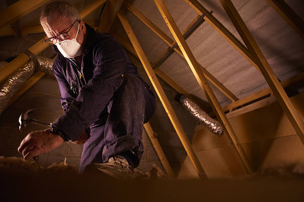 Insulation Replacement Services in Berwyn, PA