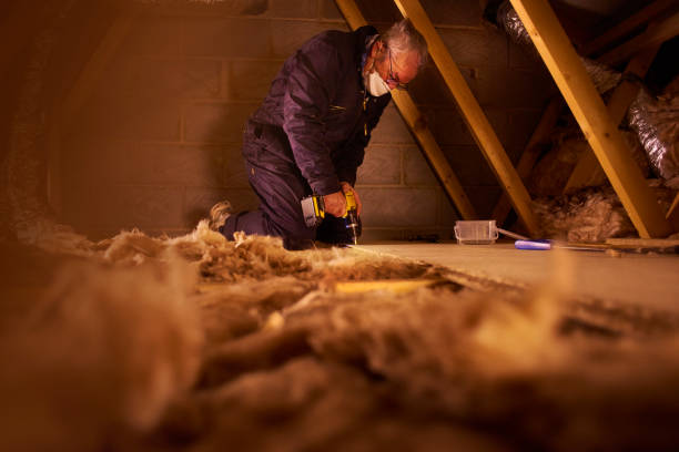 Best Insulation Replacement Services  in Berwyn, PA